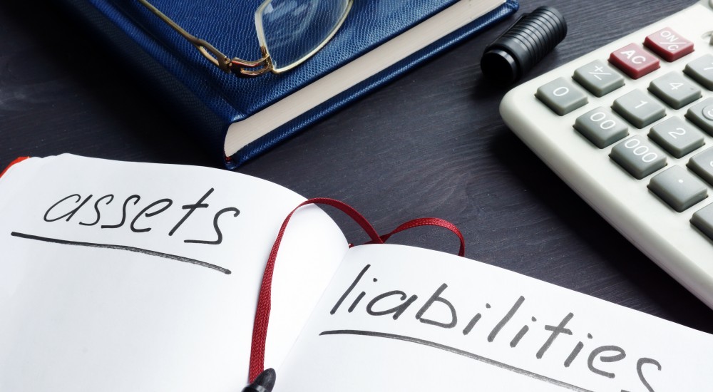 Webinar: ALM in Insurance Business